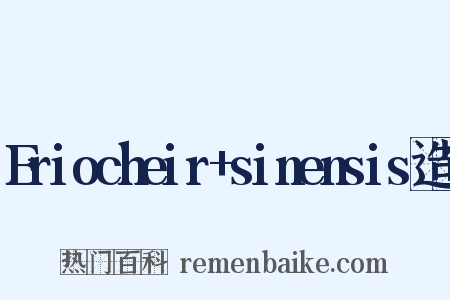 Eriocheir+sinensis造句是什么意思的图片